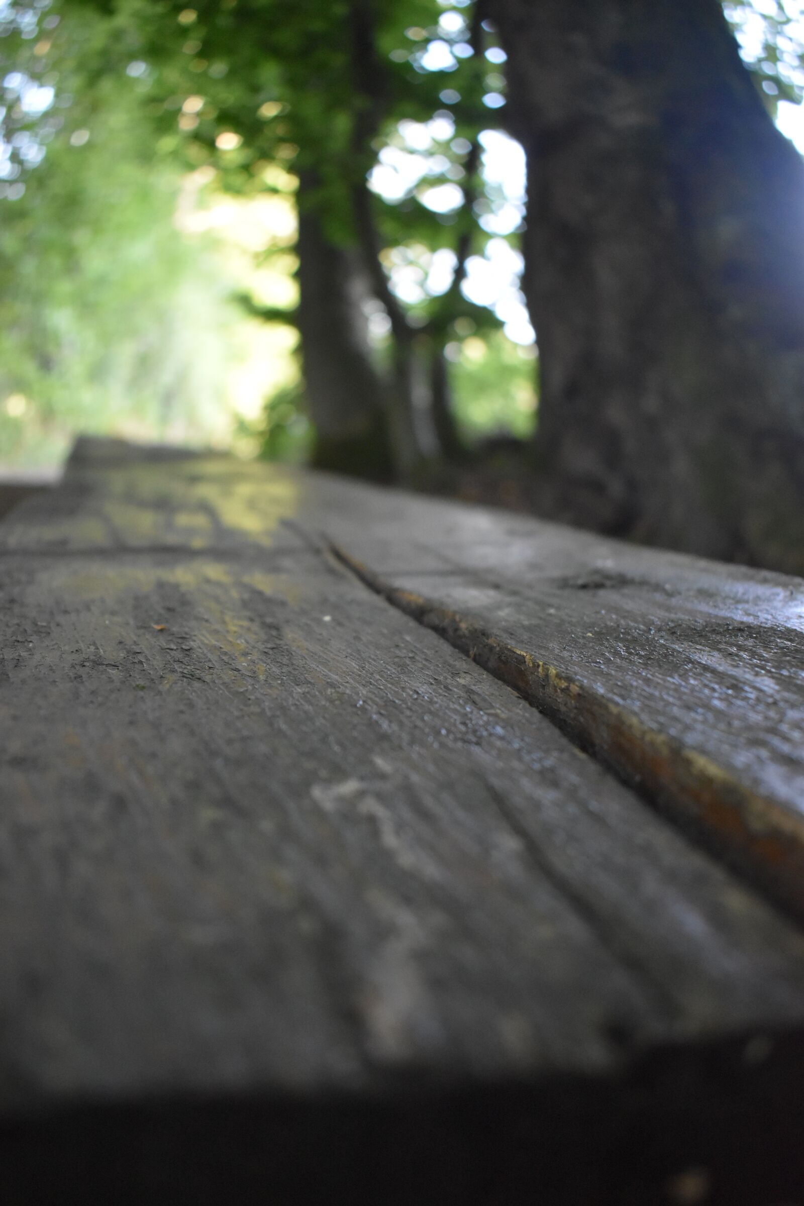 Nikon D3500 sample photo. Bank, wood, bench photography