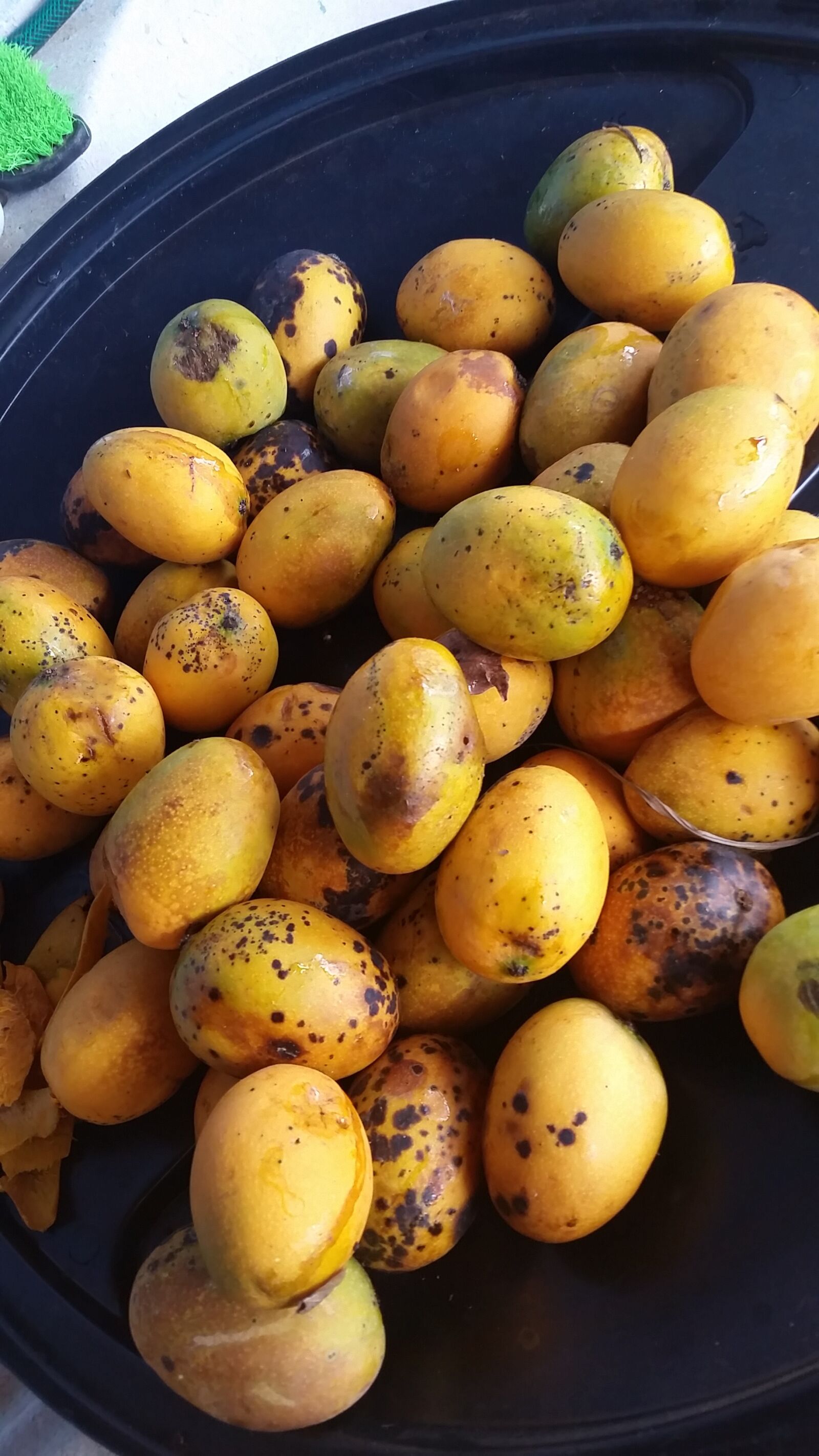 Samsung Galaxy S5 sample photo. Mango, fruit, manga photography