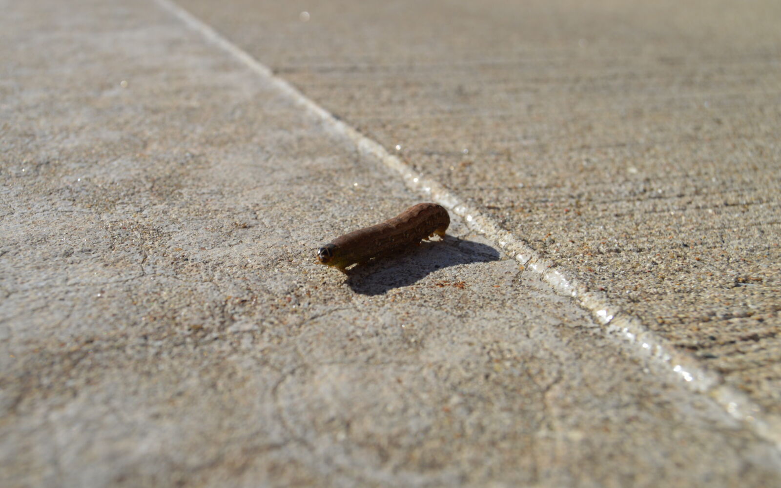 Nikon D3200 sample photo