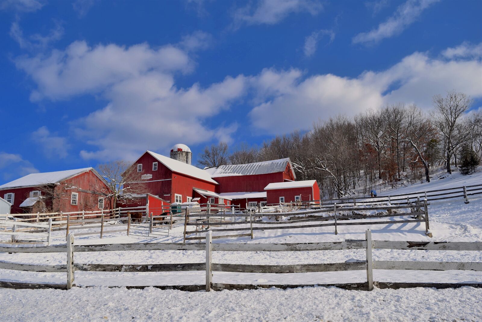Nikon D3300 sample photo. Winter, farm, snow photography