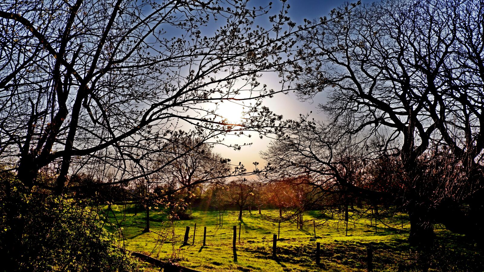 Fujifilm XC 15-45mm F3.5-5.6 OIS PZ sample photo. Landscape, trees, nature photography