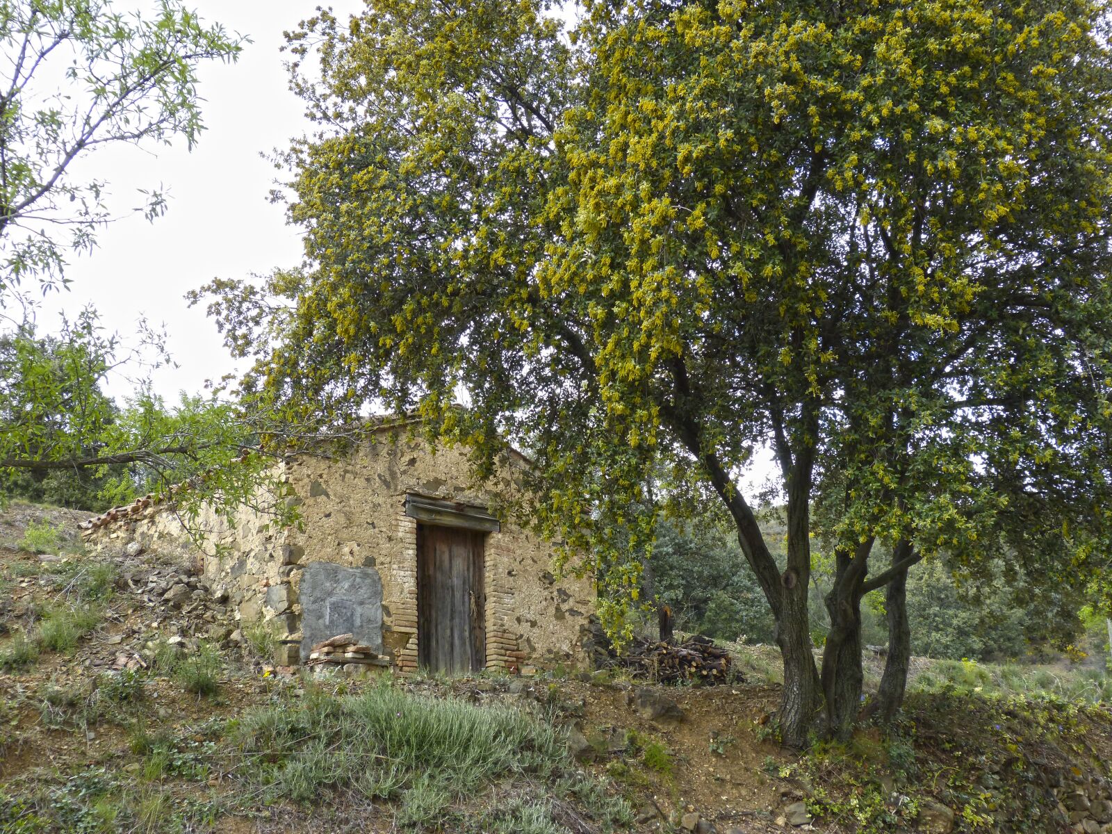 Panasonic DMC-FZ62 sample photo. Barraca, cabin, pastoral photography
