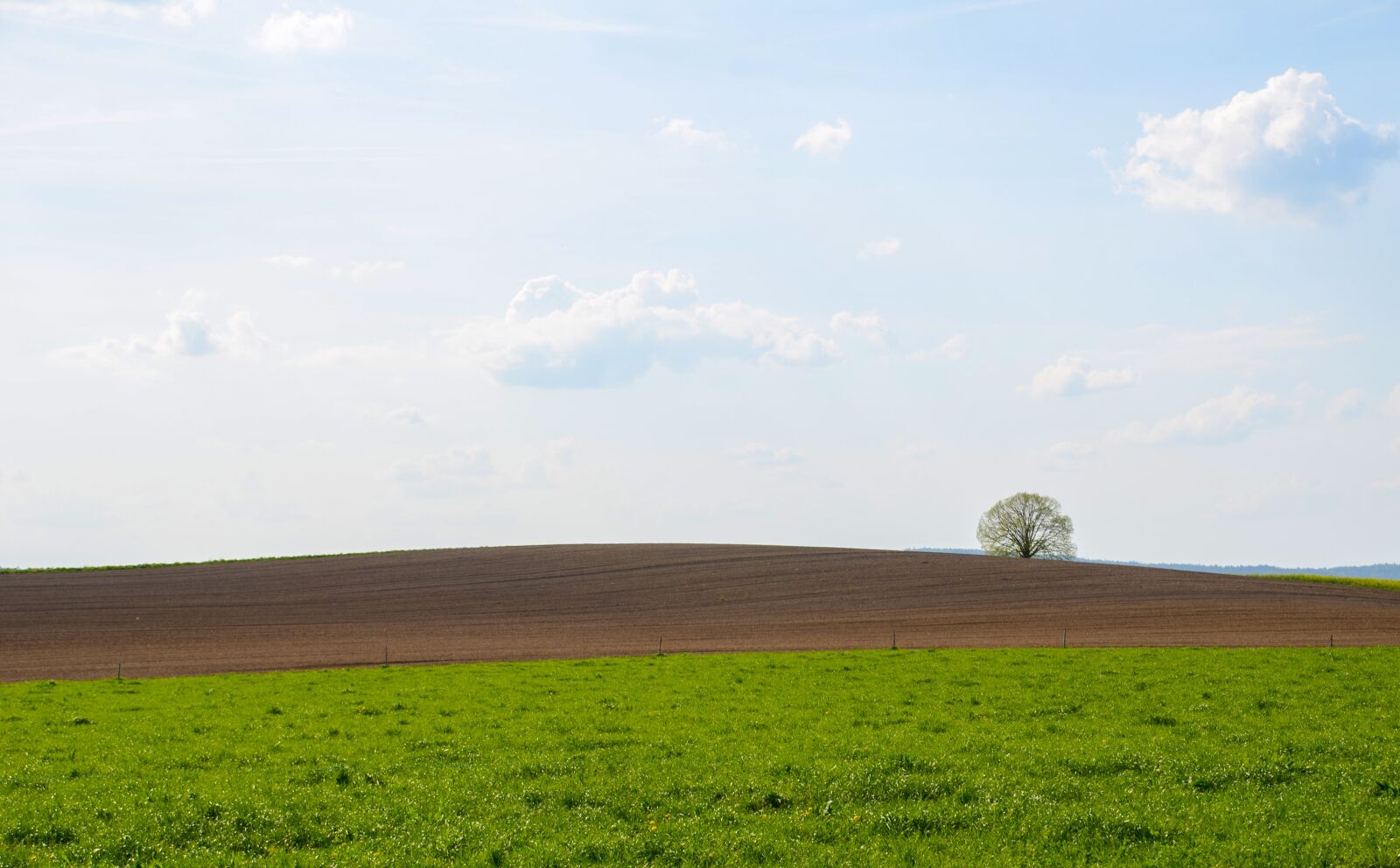 Nikon D7000 sample photo. Landscape, panorama, field photography
