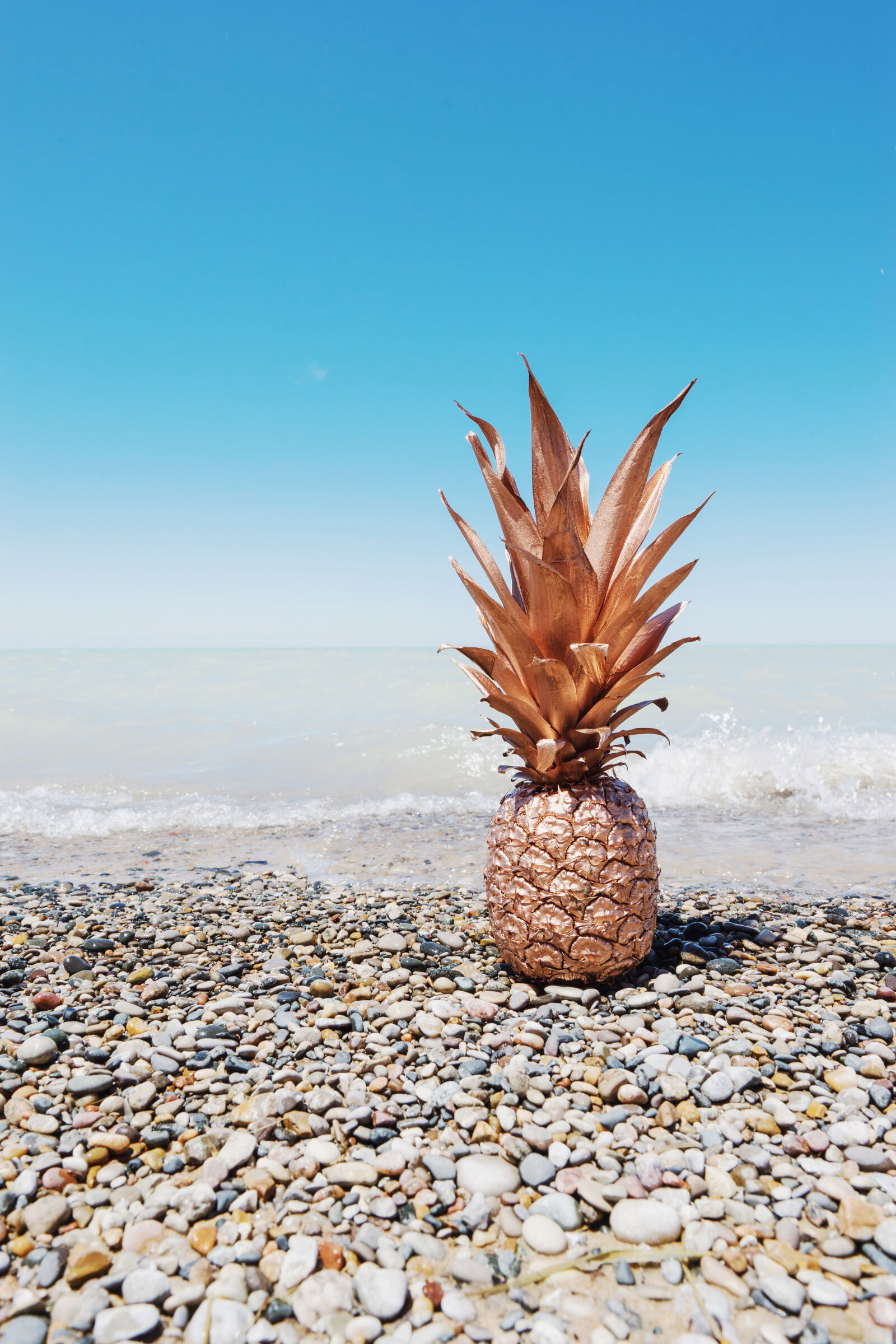 Sony Vario-Tessar T* FE 16-35mm F4 ZA OSS sample photo. Photo, of, painted, pineapple photography