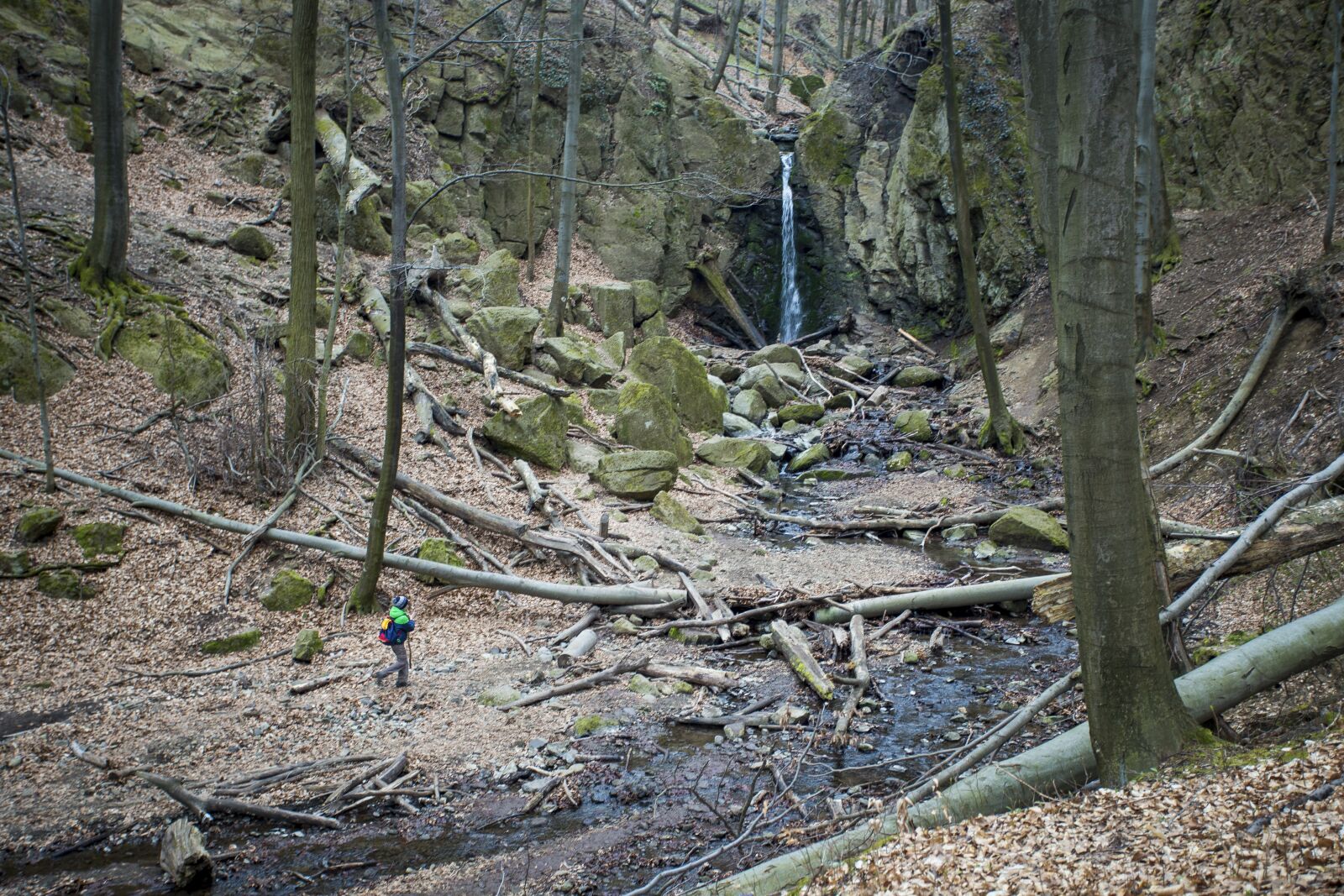 Canon EF 17-40mm F4L USM sample photo. M tra mountains, nature photography