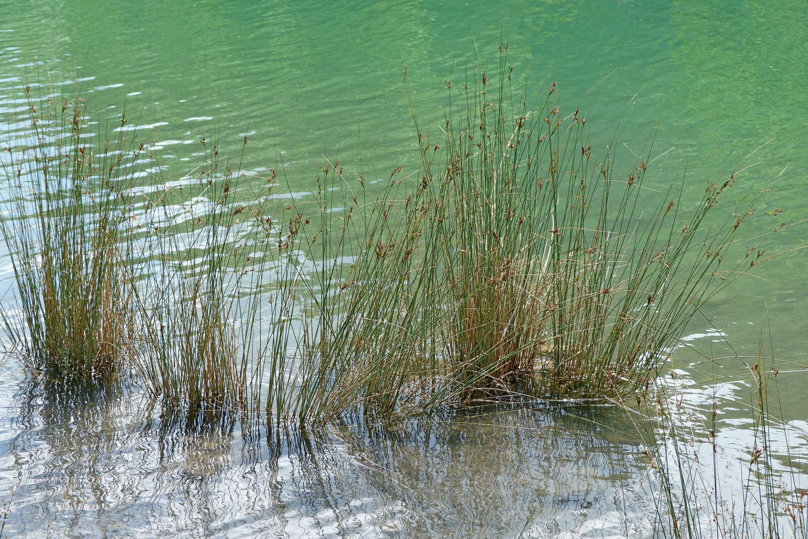 Panasonic Lumix DMC-FZ40 (Lumix DMC-FZ45) sample photo. Landscape, nature, water photography
