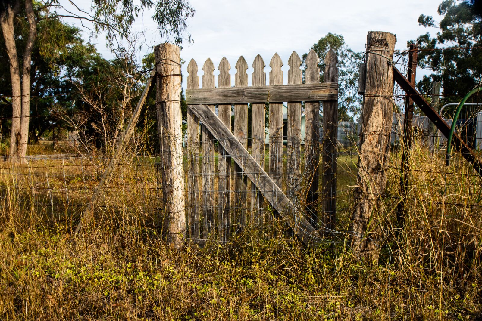 Canon EOS 7D Mark II sample photo. Gate, farm, country photography