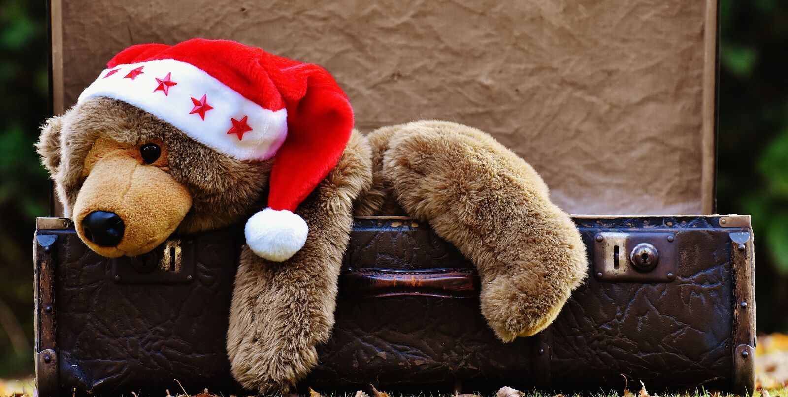 Nikon D7200 sample photo. Christmas, luggage, antique photography