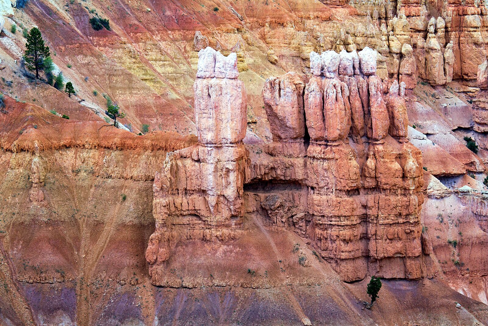 Canon EOS 7D sample photo. Bryce canyon, paunsaugunt plateau photography