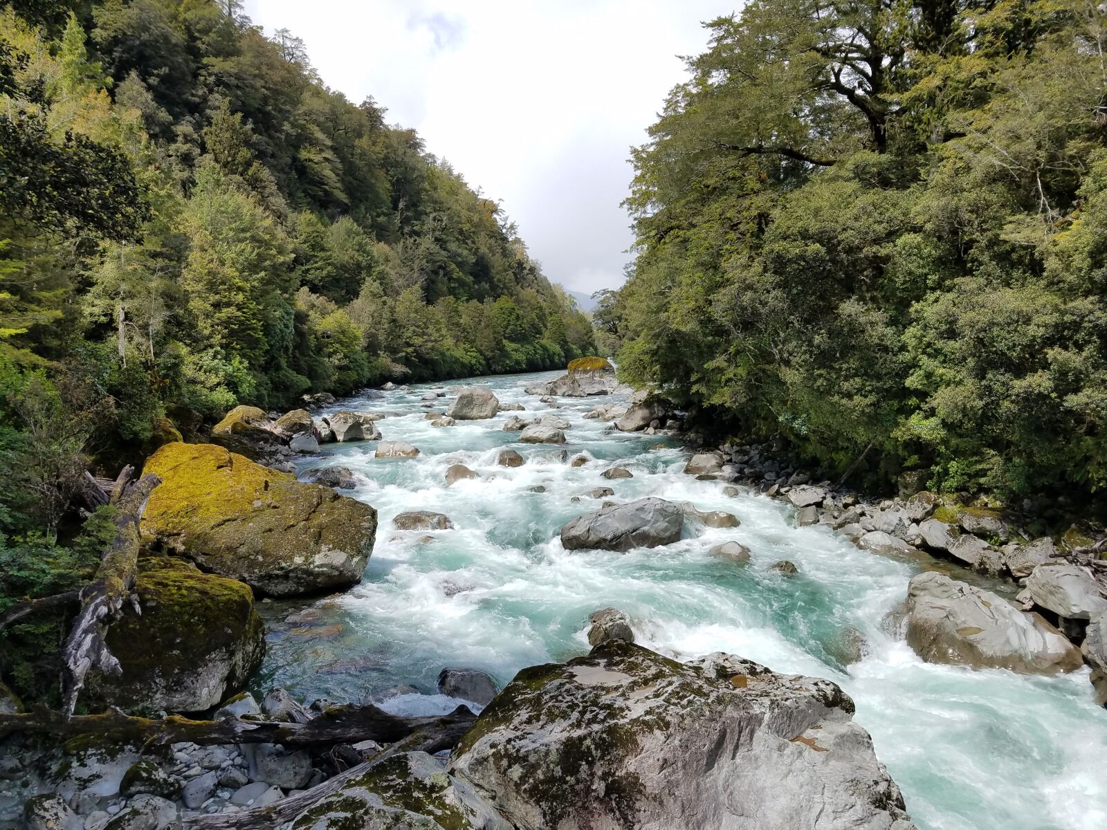 Samsung Galaxy S7 sample photo. Stream, fresh, water photography