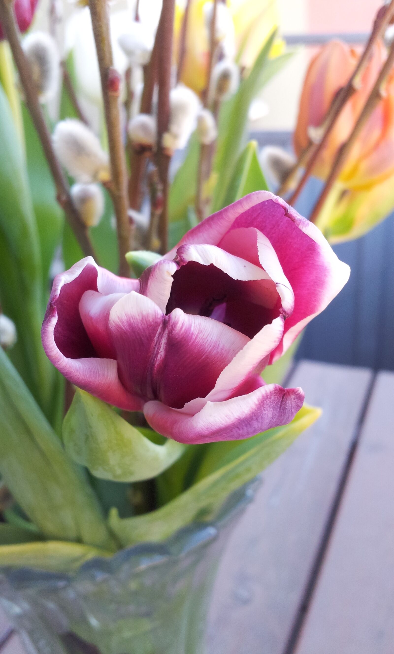 Samsung Galaxy S2 sample photo. Tulip, flower, bouquet photography