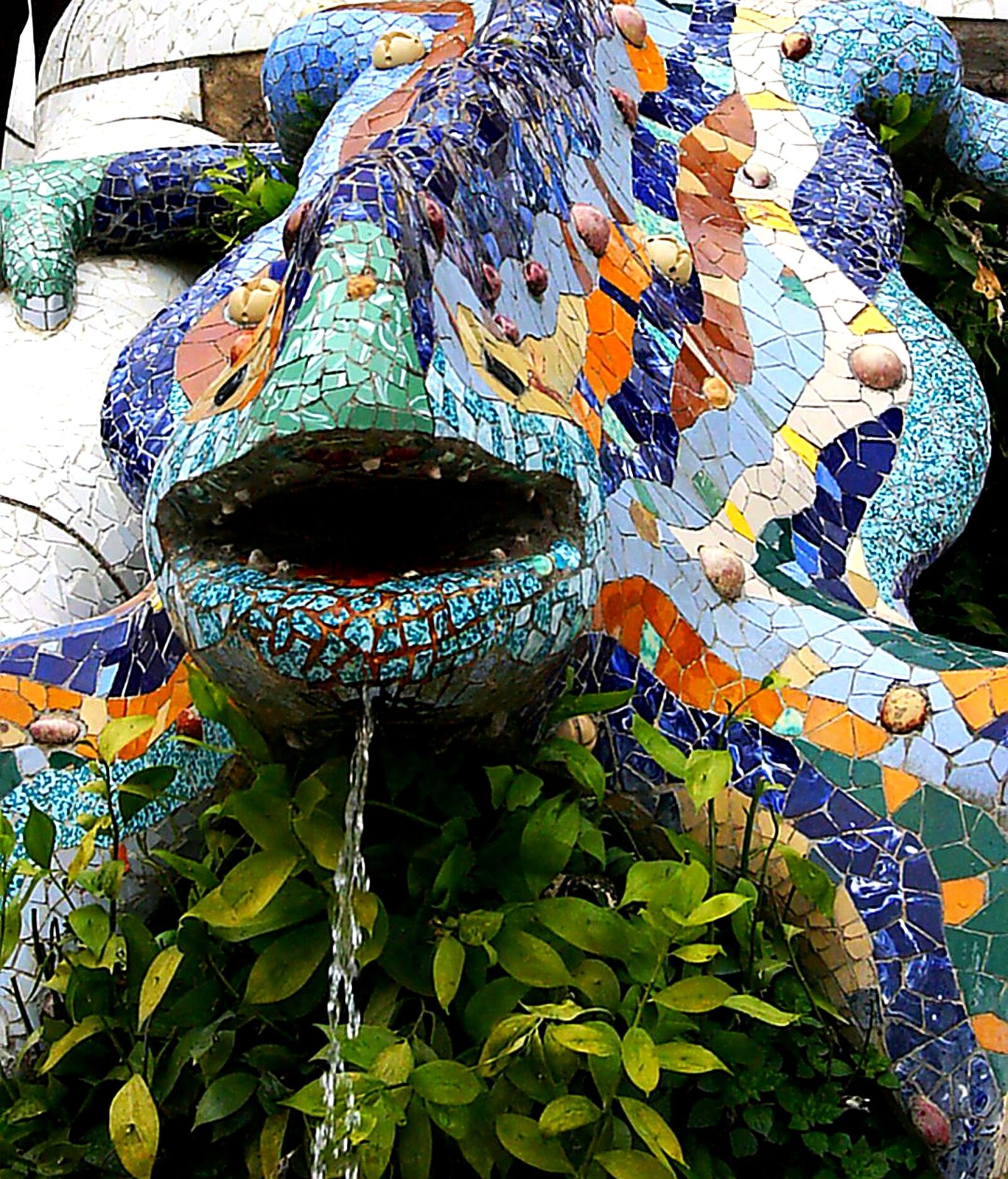 Canon EOS 300D (EOS Digital Rebel / EOS Kiss Digital) sample photo. Reptile, art, barcelona photography