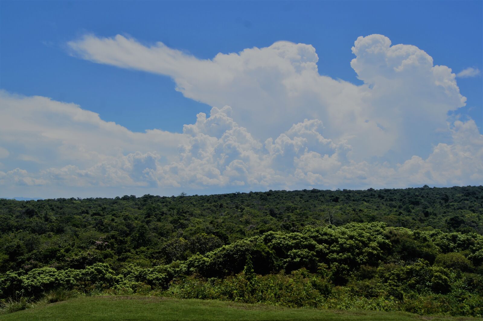 Sony Alpha DSLR-A580 sample photo. Clouds, green, nature, photography photography