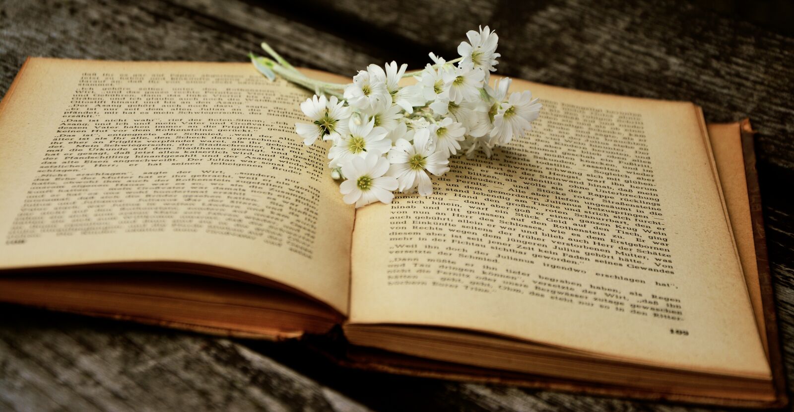 Nikon D5200 sample photo. Book, old book, read photography