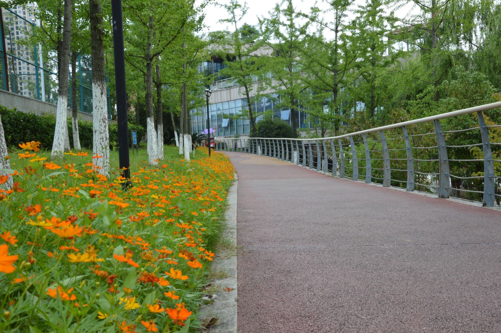 Nikon D3200 sample photo. The scenery, water, night photography