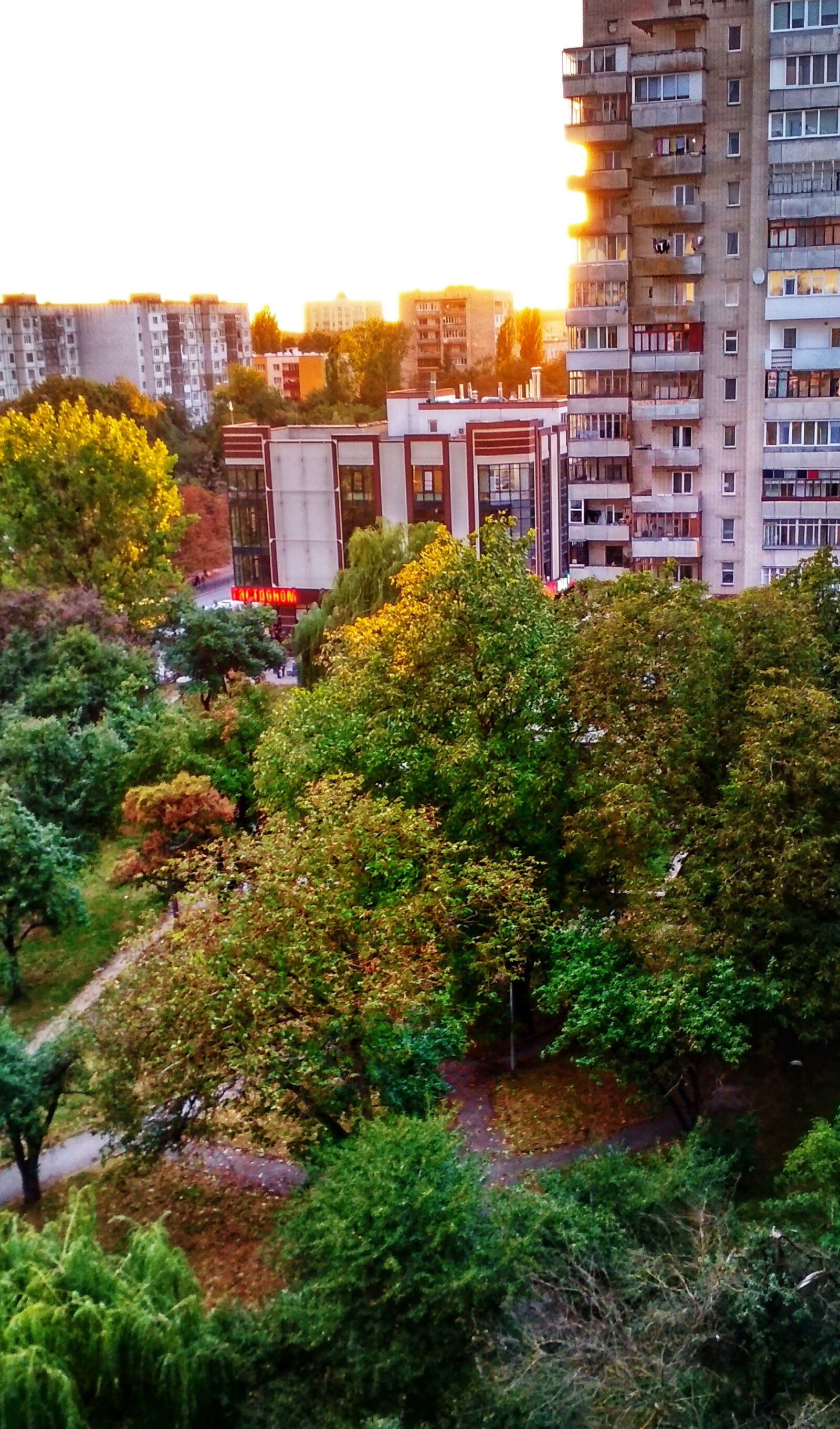 Xiaomi Redmi 4X sample photo. Height, arbor, tree photography