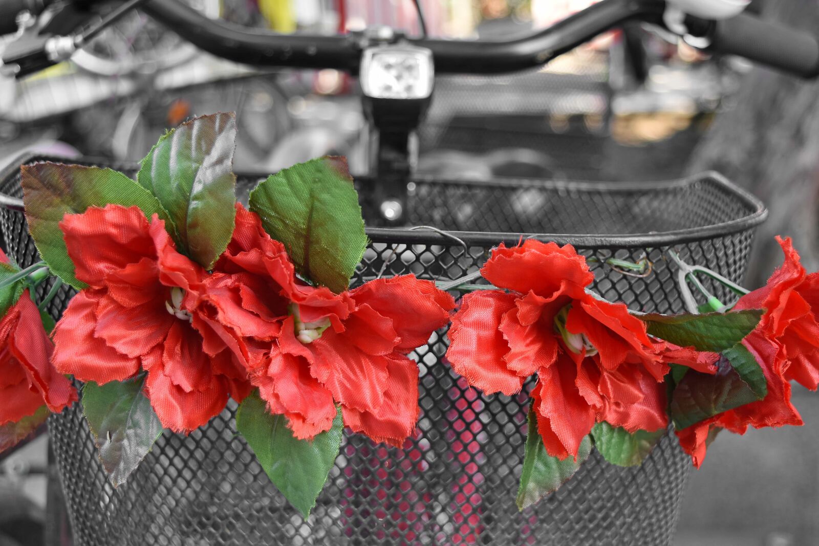 Nikon D5500 sample photo. Basket, bicycle, steering wheel photography
