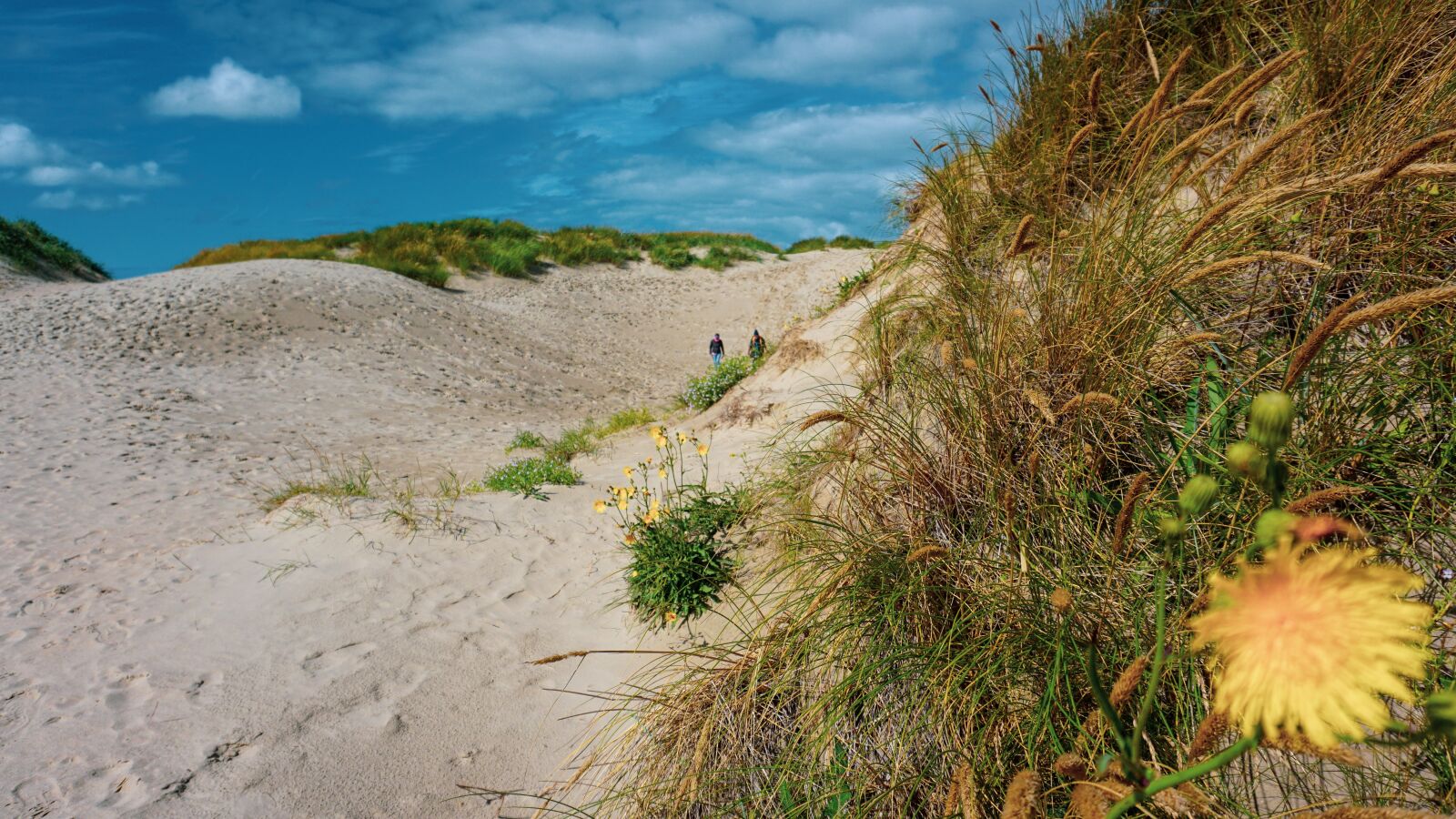 Sony a6000 sample photo. Beach, denmark, water photography