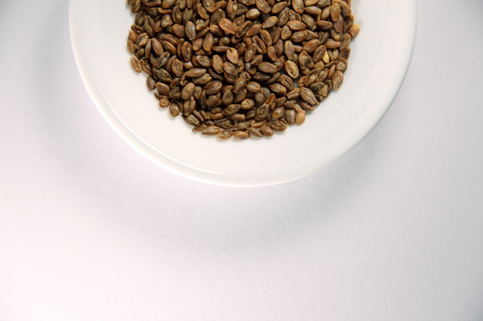 Canon EOS 550D (EOS Rebel T2i / EOS Kiss X4) sample photo. Barley, super barley, drying photography
