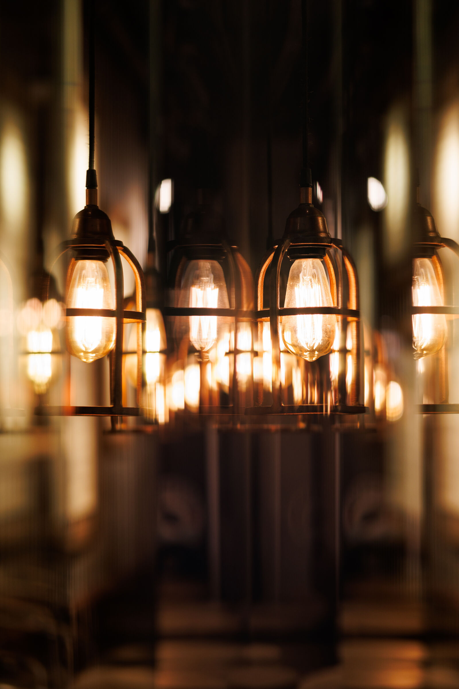 Sigma 56mm F1.4 DC DN | C sample photo. Light bokeh photography