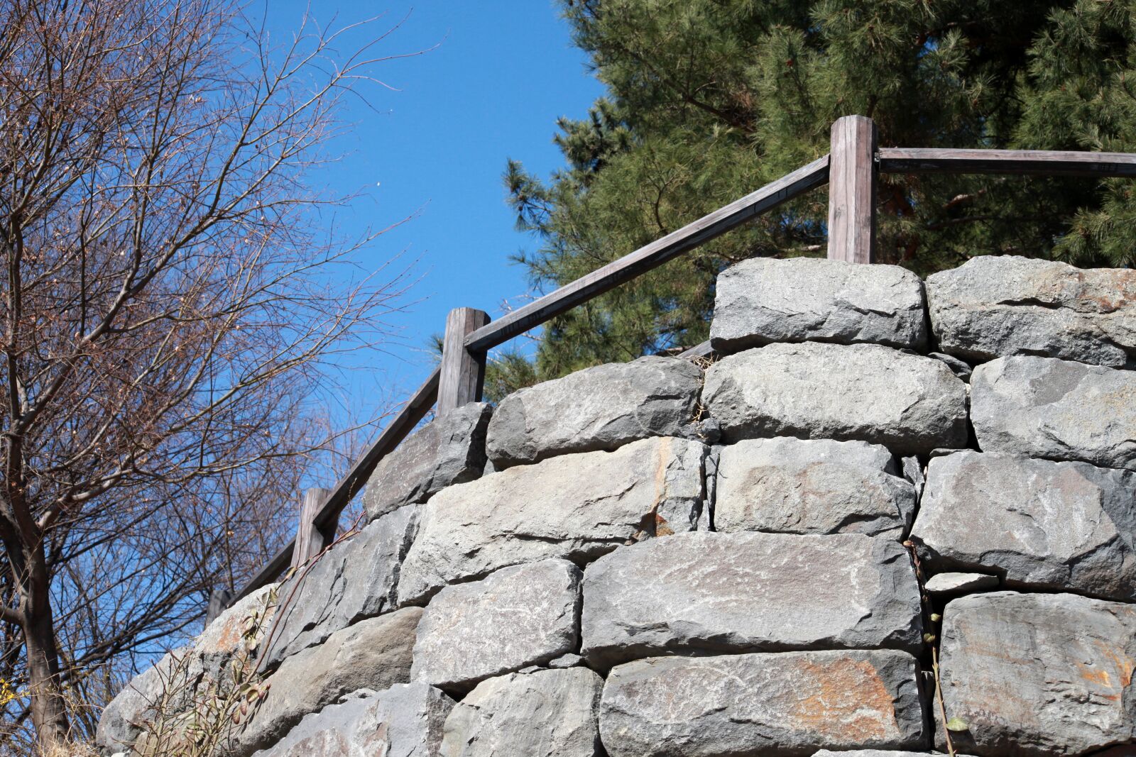 Canon EOS 5D Mark II sample photo. Stone wall, park, nature photography