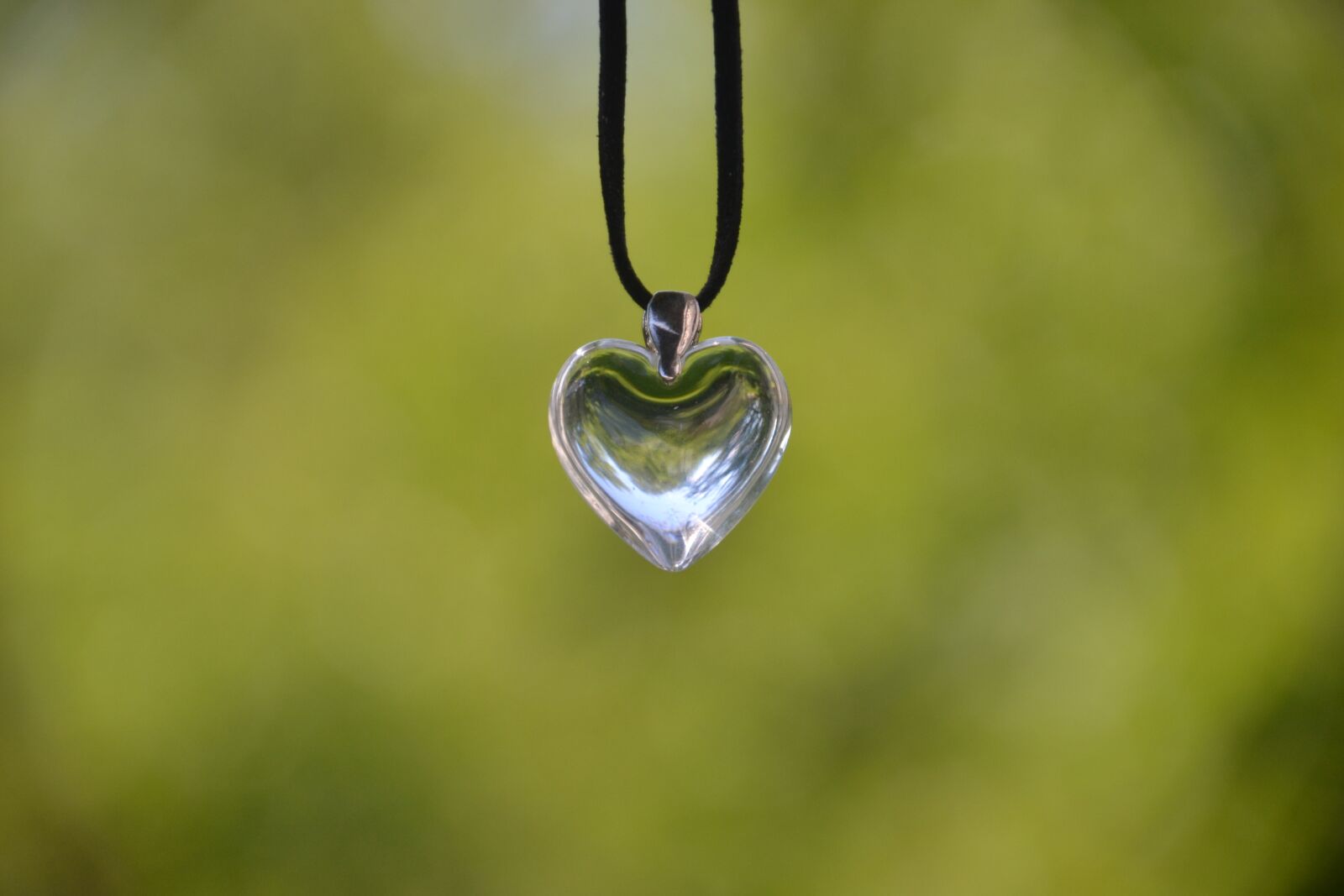 Nikon D3100 sample photo. Heart, glass, love photography