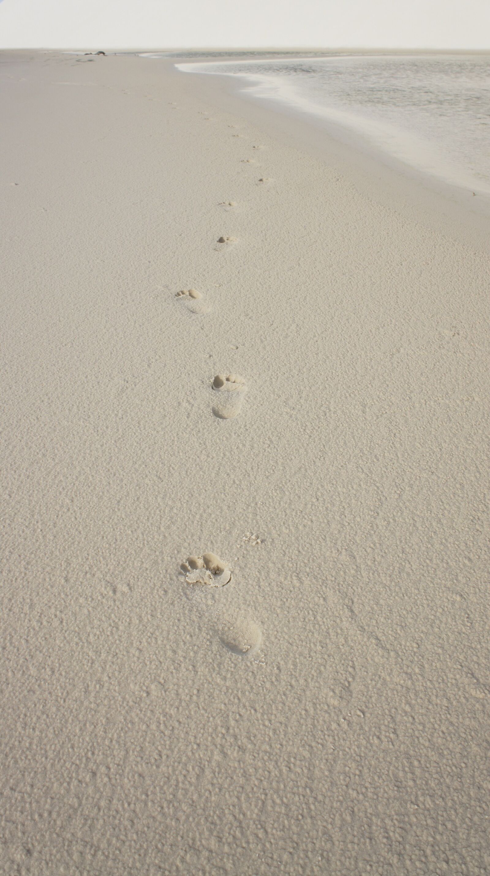 Sony Alpha NEX-5 sample photo. Footprints, sand, foot photography