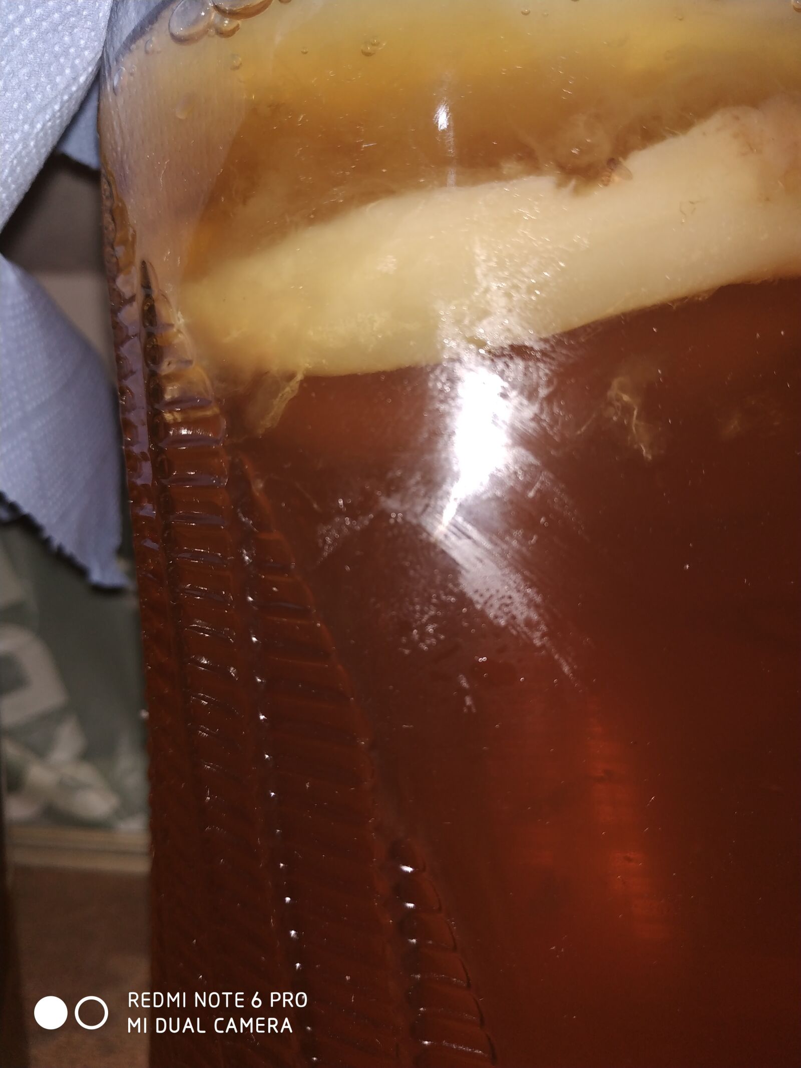 Xiaomi Redmi Note 6 Pro sample photo. Kombucha, life, scoby photography