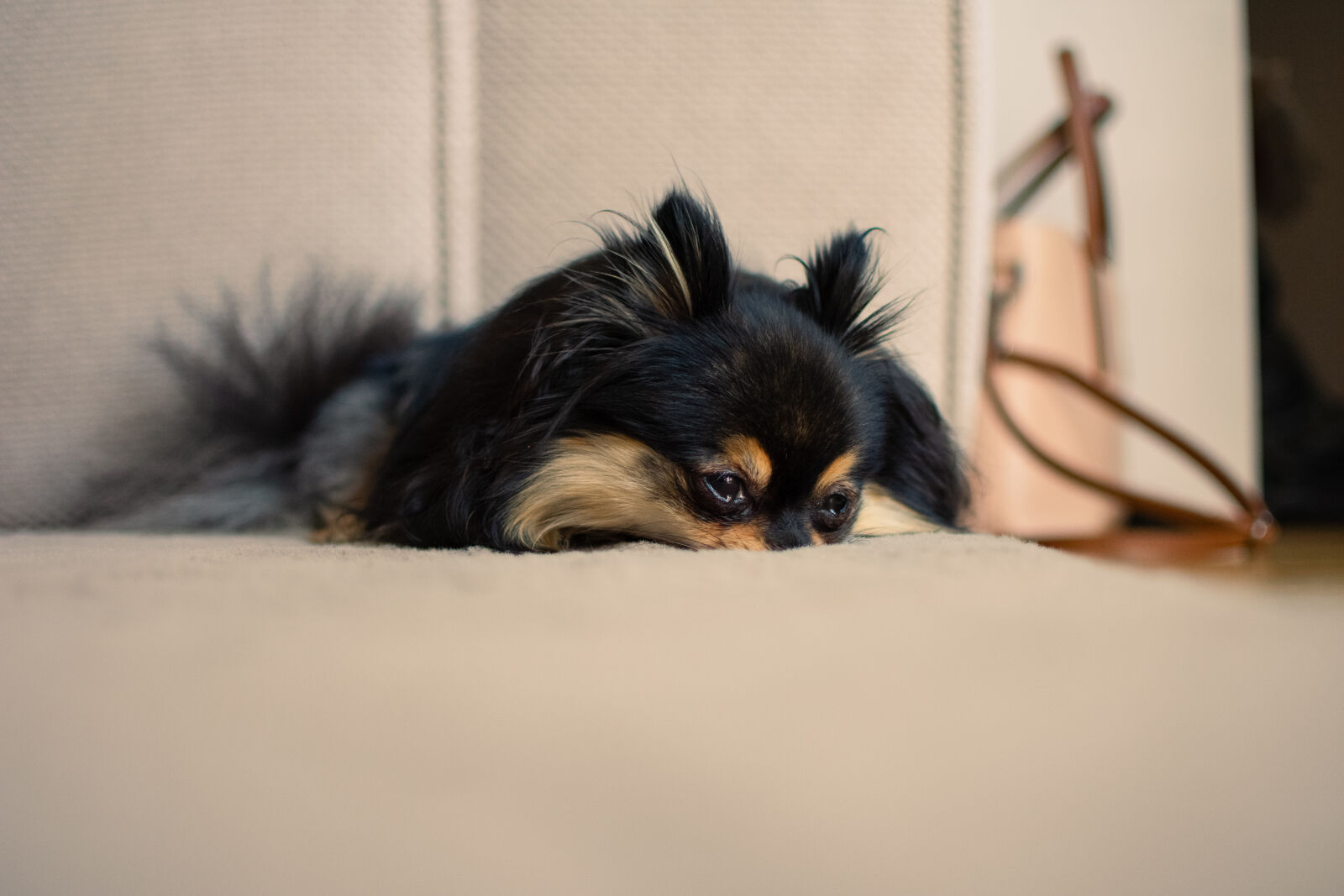 Nikon D3400 + Nikon AF-S DX Nikkor 35mm F1.8G sample photo