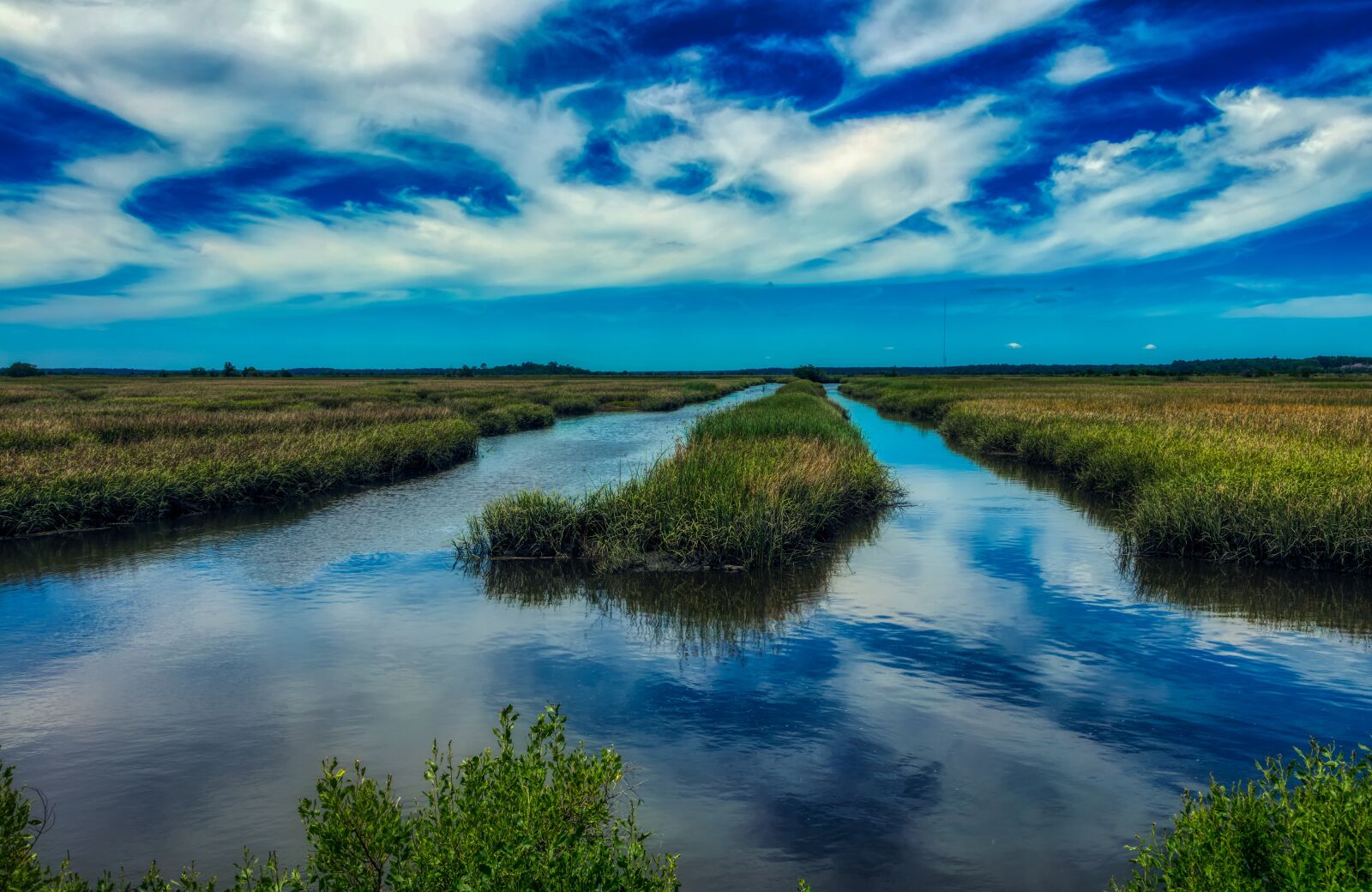 Canon EOS 5DS R + Canon EF 24-105mm F4L IS USM sample photo. South carolina, america, marsh photography