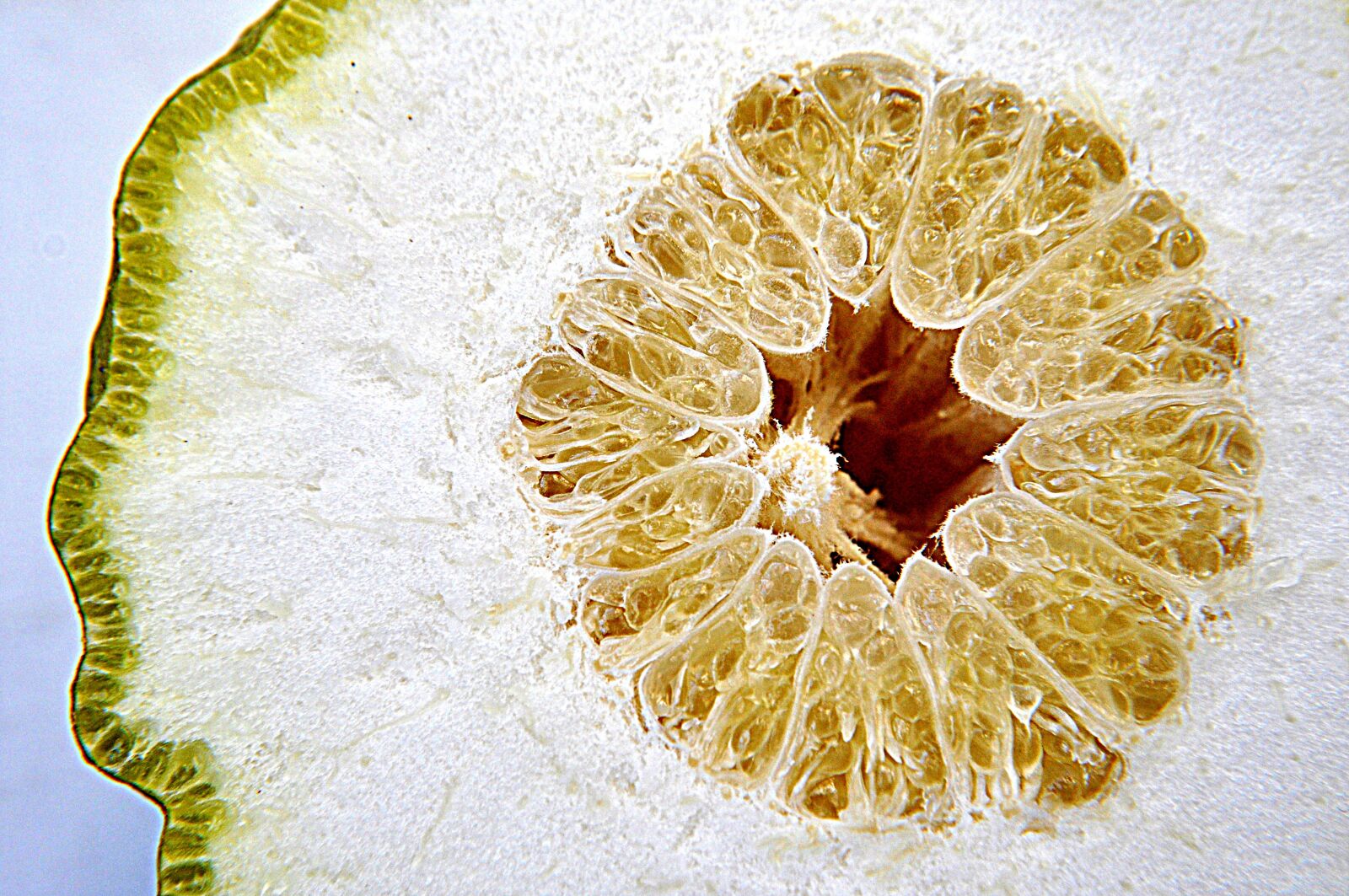 Nikon D90 sample photo. Plant, fruit, the photography