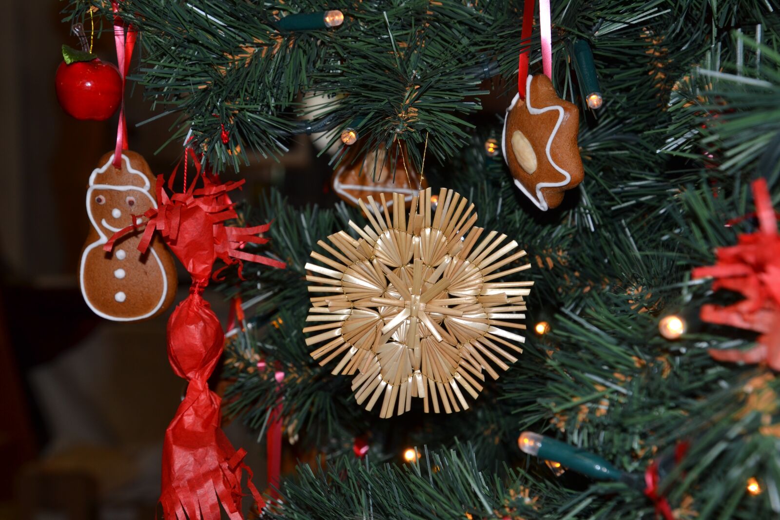 Nikon D3100 sample photo. Christmas, christmas decorations, decoration photography