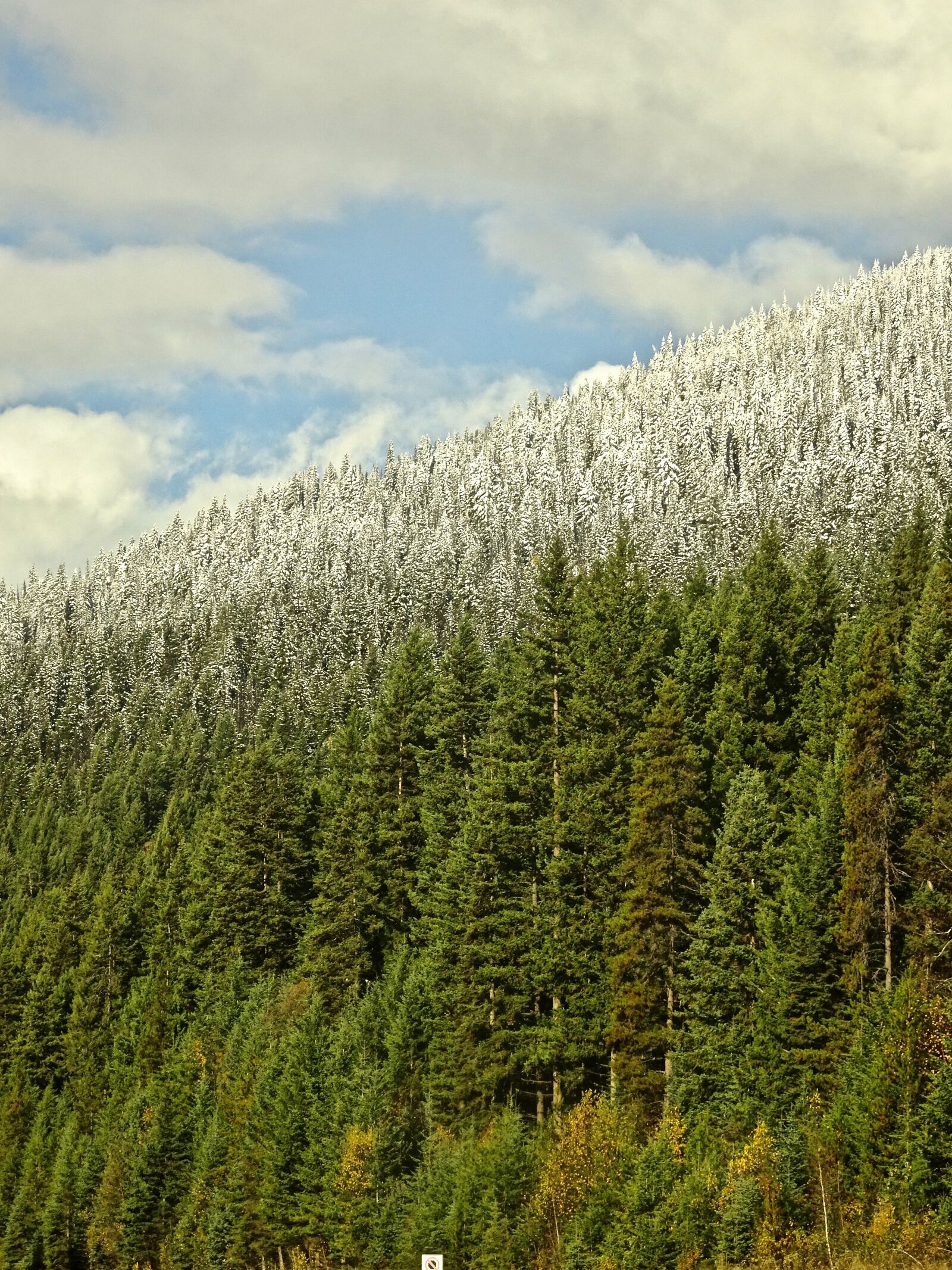 Sony Cyber-shot DSC-HX90V sample photo. Forest, snow line, landscape photography