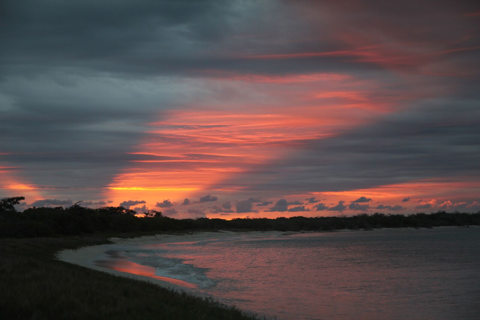 Canon EOS 60D sample photo. Tapeworm, sunset, evening photography