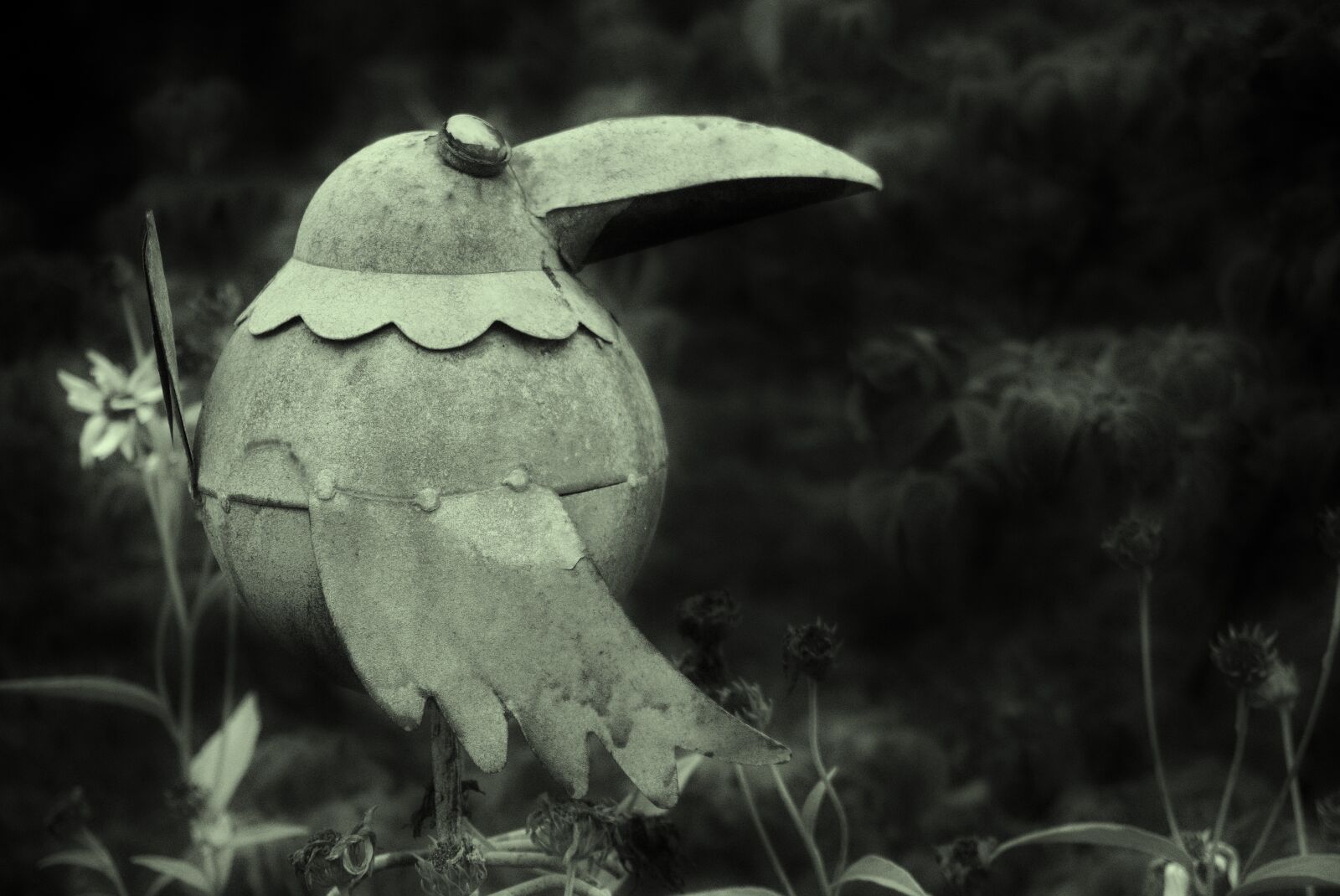 Sony E 16-50mm F3.5-5.6 PZ OSS sample photo. Metal bird, in the photography