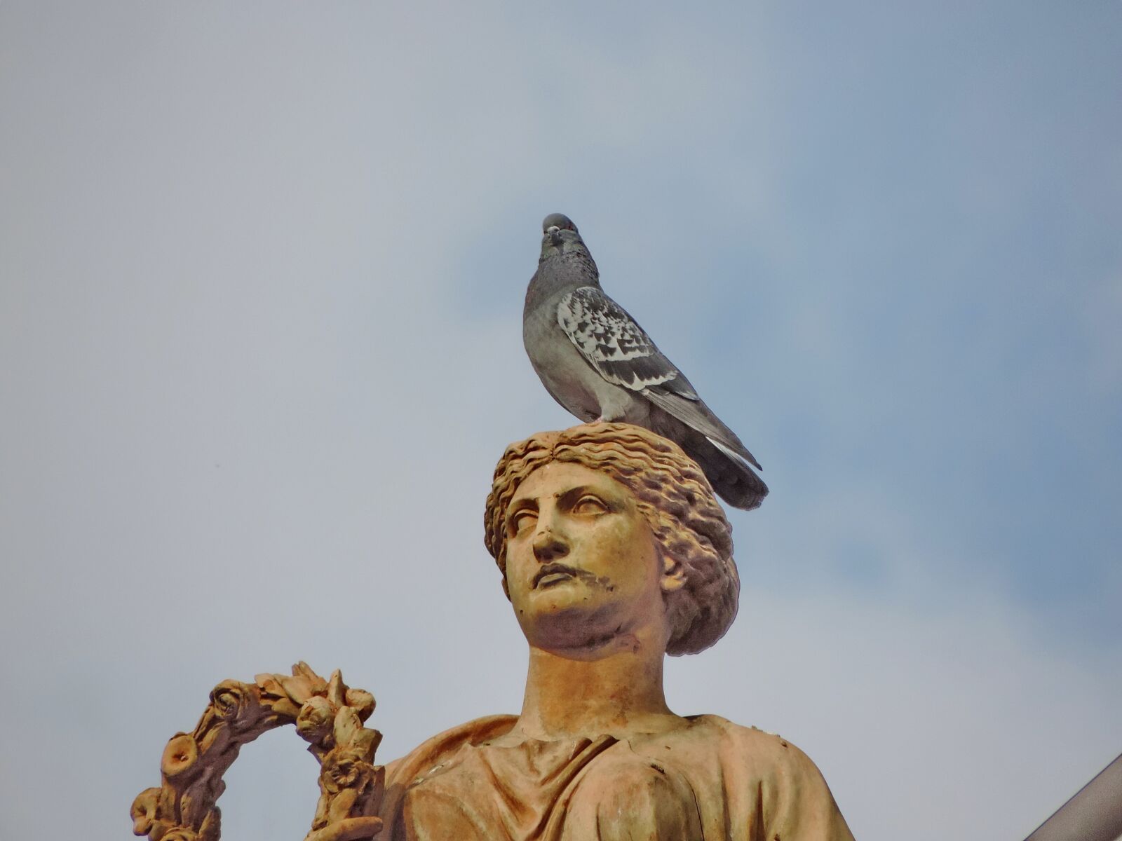 Nikon Coolpix P520 sample photo. Blue sky, bust, head photography