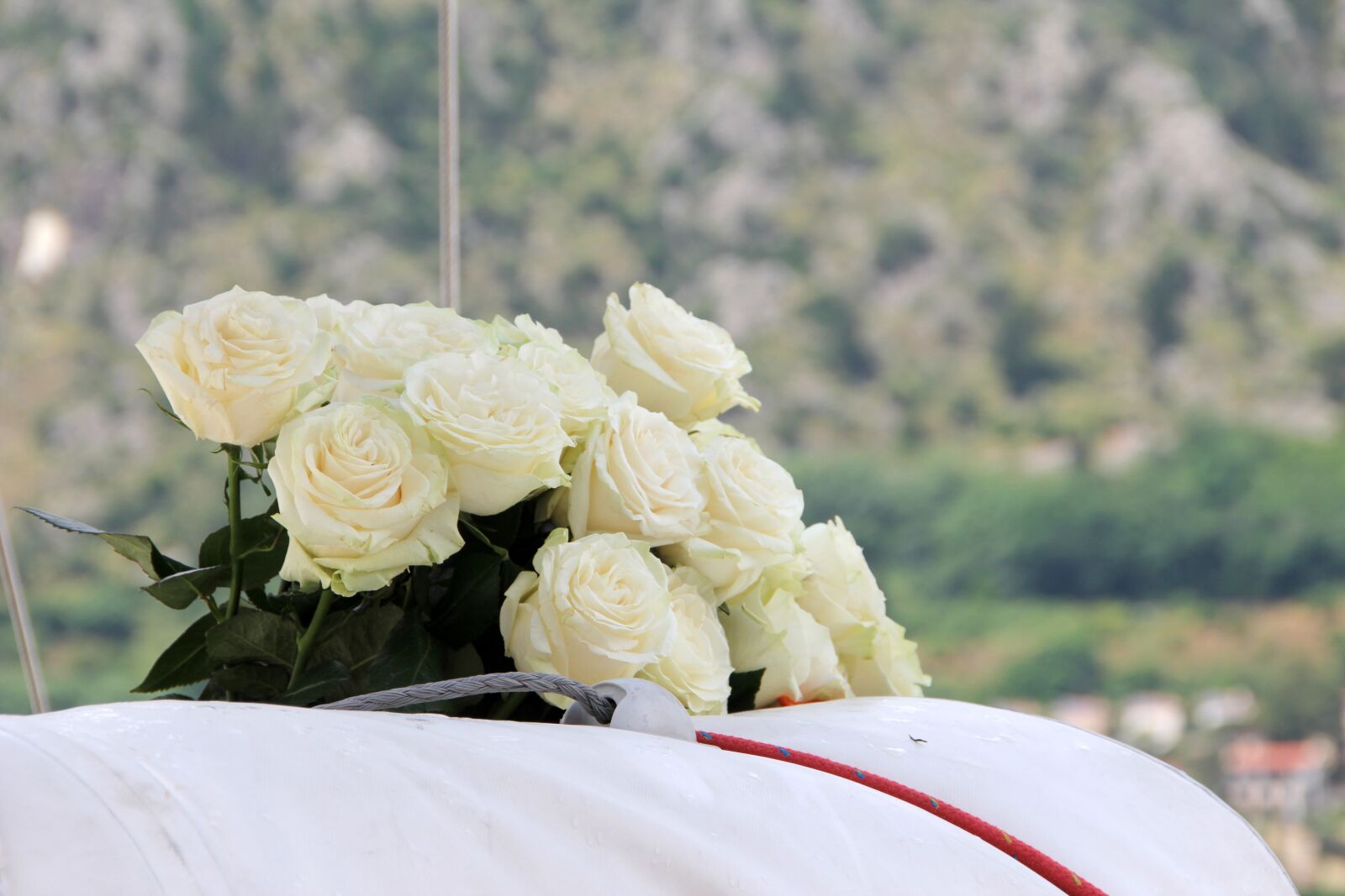 Canon EOS 60D sample photo. Bridal bouquet, white, white photography