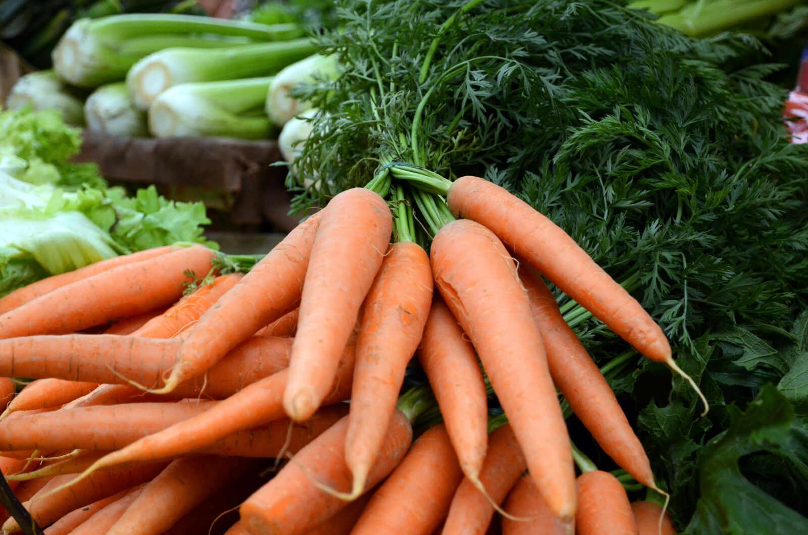 Nikon D7000 sample photo. Carrots, vegetables, vegetale photography