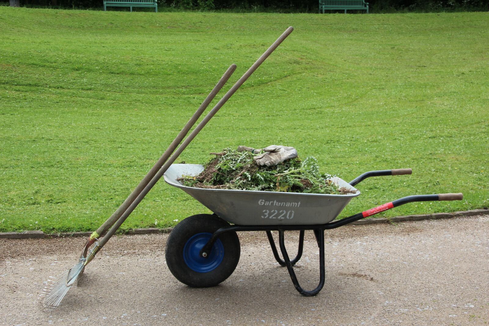 Canon EOS 600D (Rebel EOS T3i / EOS Kiss X5) sample photo. Wheelbarrow, garden, gardening photography