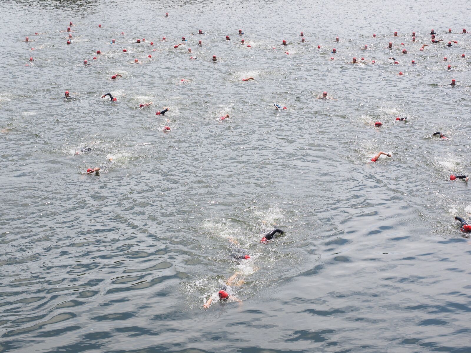Olympus OM-D E-M1 + Olympus M.Zuiko Digital ED 12-40mm F2.8 Pro sample photo. Swim, competition, triathlon photography