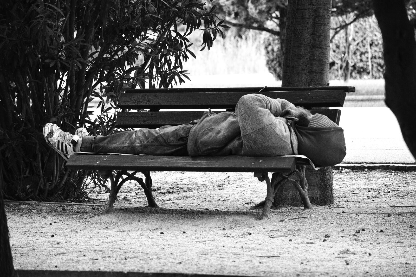 Nikon D3200 sample photo. Siesta, afternoon, park photography