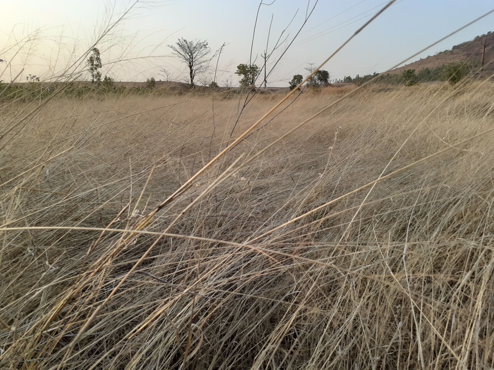 Samsung SM-M205F sample photo. Hay, desert, landscape photography