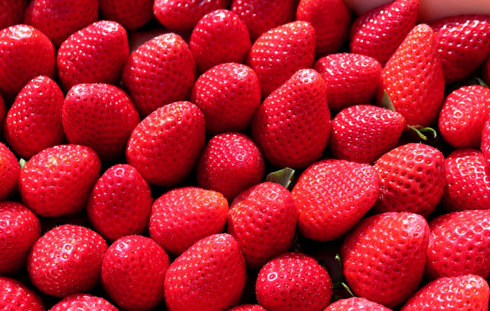 Canon EOS 200D (EOS Rebel SL2 / EOS Kiss X9) sample photo. Food, fruit, strawberry photography