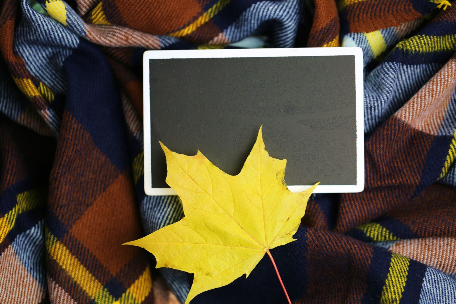Canon EF 100mm F2.8L Macro IS USM sample photo. Autumn, sheet, maple photography