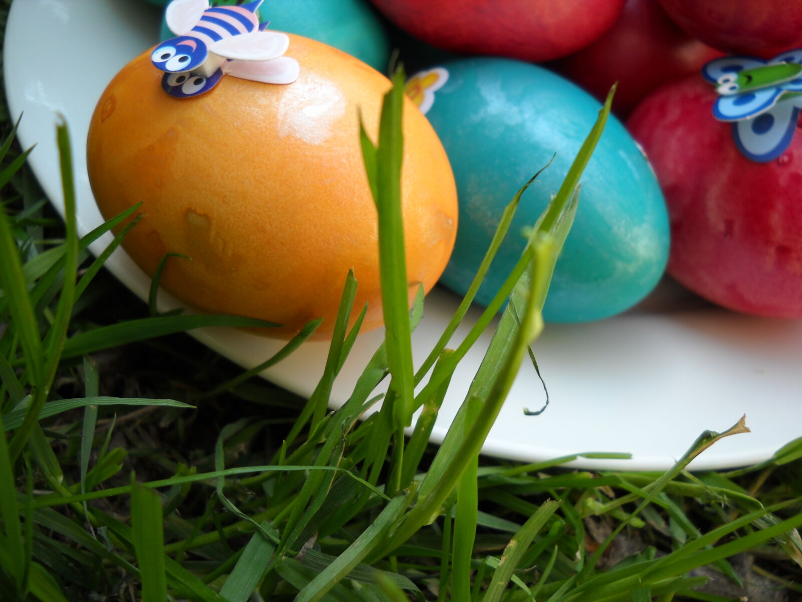 Nikon Coolpix L20 sample photo. Easter, eggs, grass photography