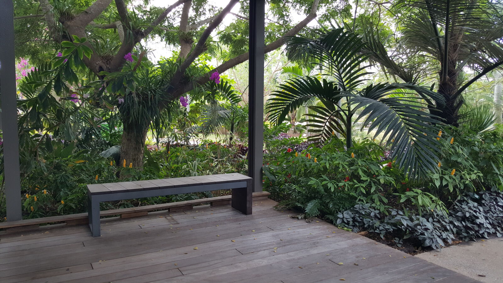 Samsung GALAXY S6 edge sample photo. Botanical, gardens photography