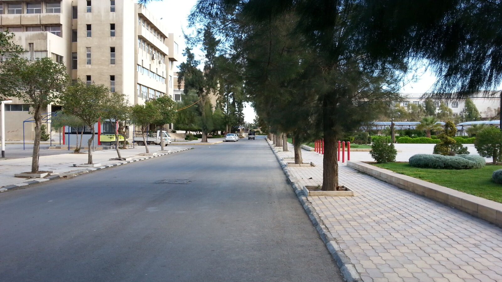 Samsung Galaxy S3 sample photo