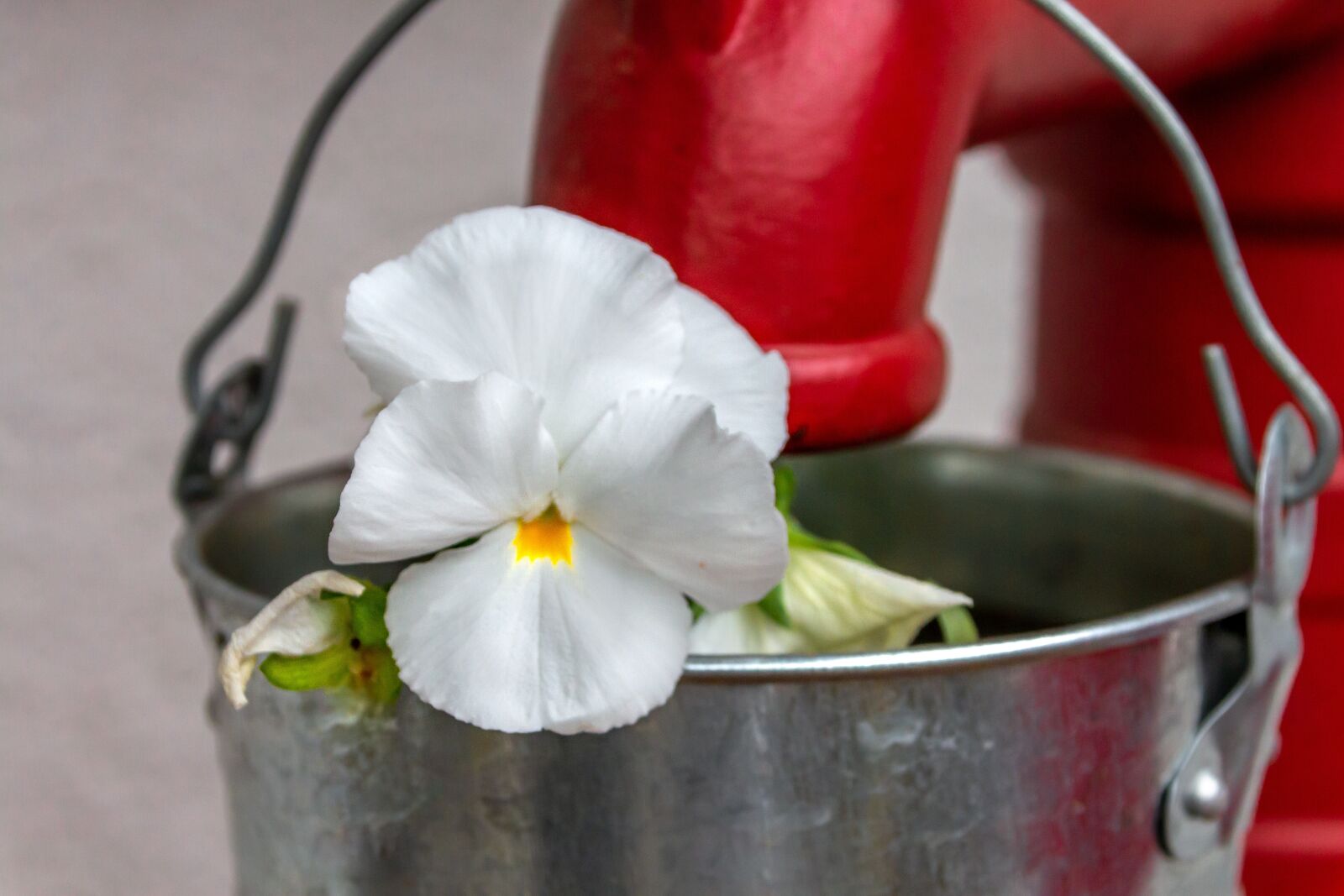 Canon EOS 650D (EOS Rebel T4i / EOS Kiss X6i) sample photo. Faucet, metal bucket, zinc photography