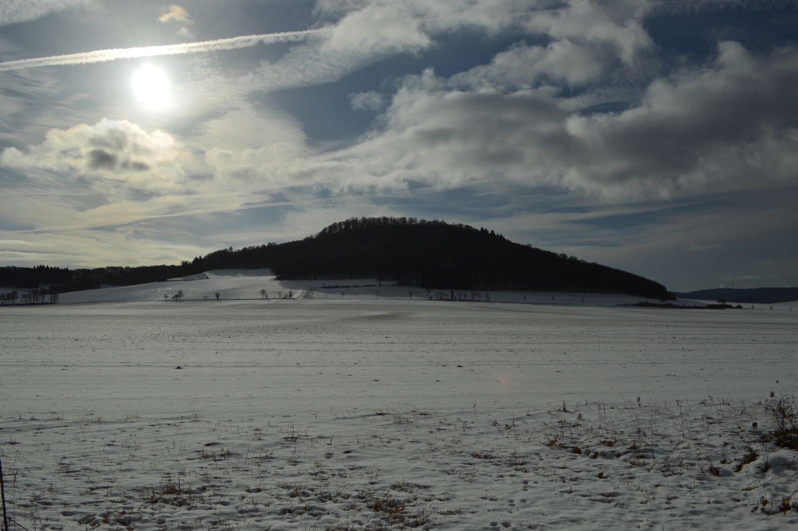 Nikon D3200 sample photo. The conservation area of photography