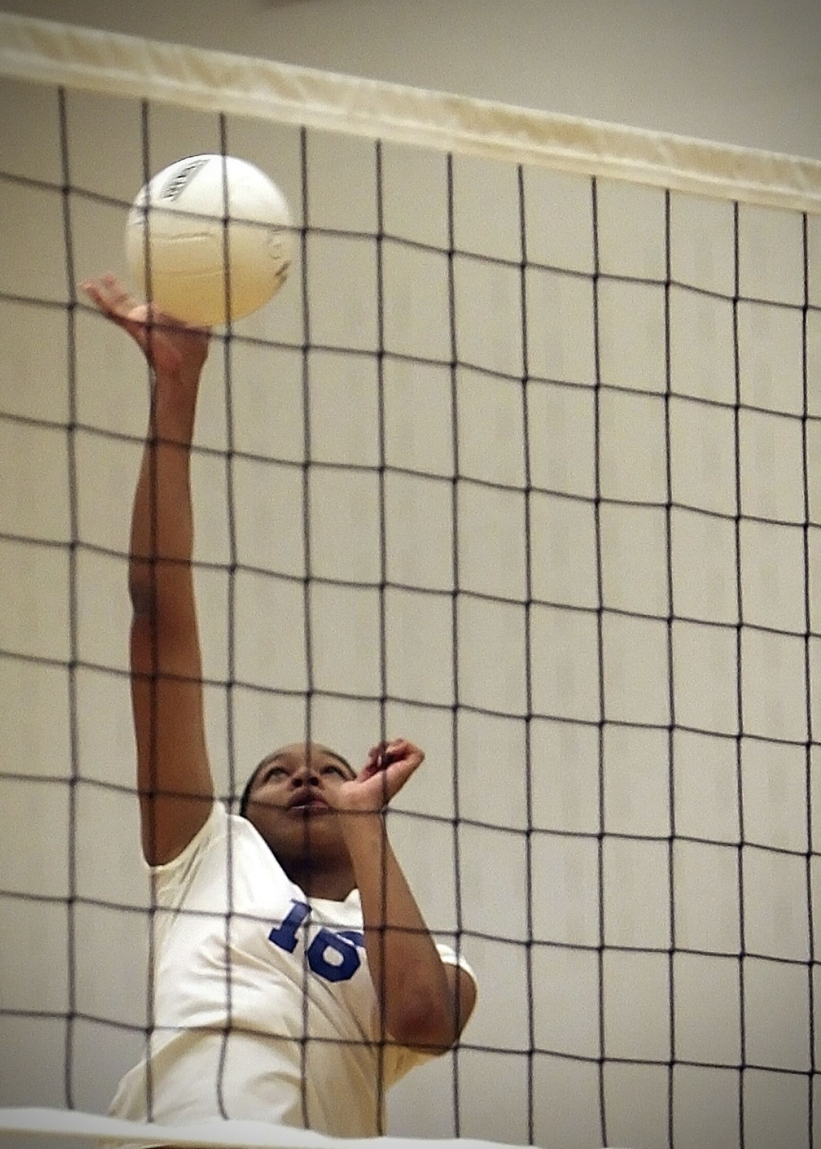 Canon EOS 20D sample photo. Volleyball, player, female photography